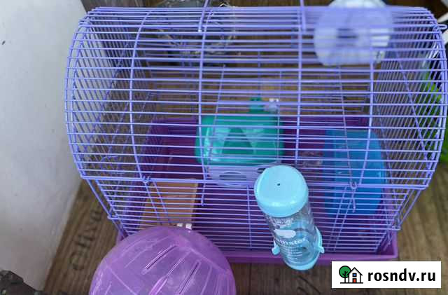 Клетка для грызунов Домодедово - изображение 1