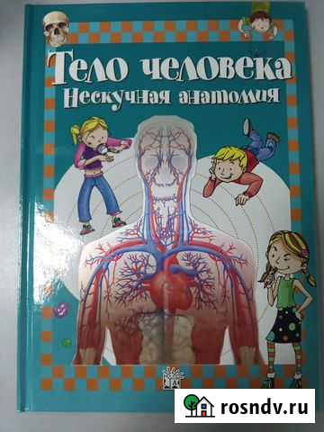 Тело человека. нескучная анатомия Тобольск - изображение 1