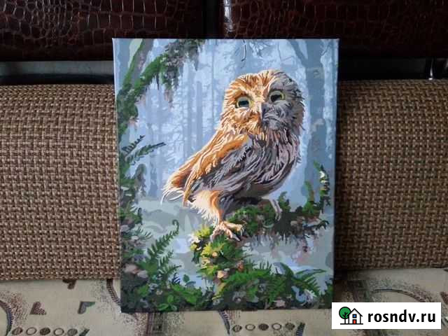 Картина по номерам Совенок (готовая) Волжский - изображение 1