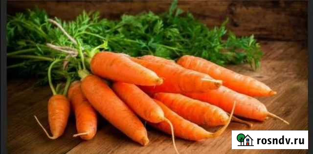Морковь Благовещенск - изображение 1