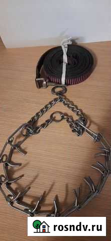 Строгий ошейник и поводок Волжский - изображение 1