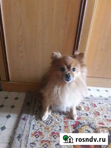 Вязка Камышин - изображение 1