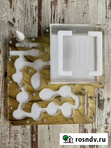 Муравьиная ферма Москва - изображение 1