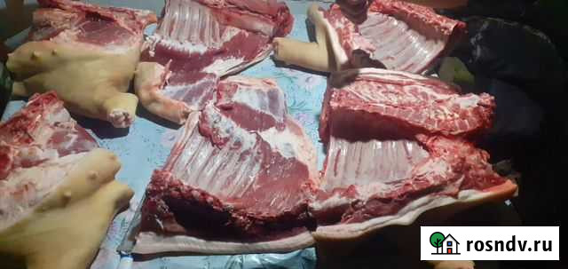 Мясо поросята качественое шашлыки на пшенице дерев Бугуруслан - изображение 1