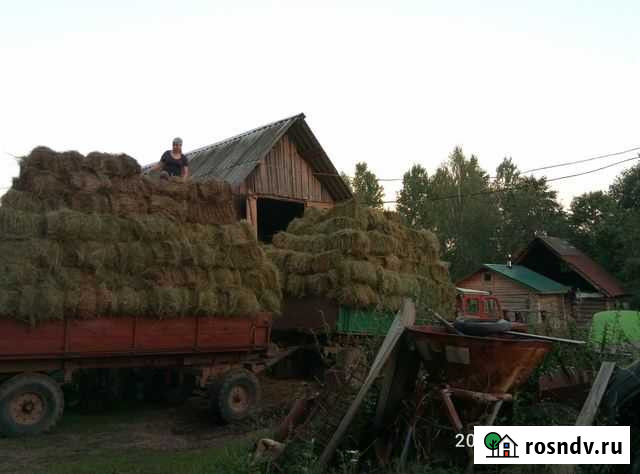 Продается сено в кипах Плюсса - изображение 1
