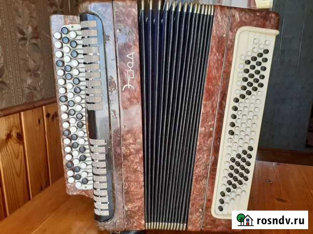 Тульский баян Этюд (кусковые планки) Санкт-Петербург - изображение 1