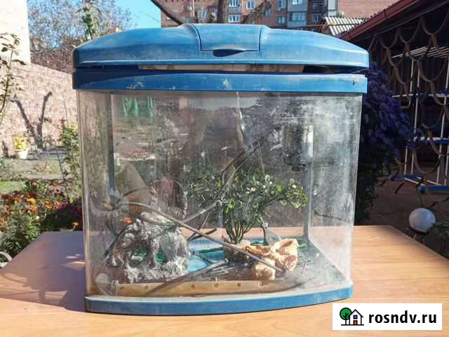 Аквариум Владикавказ - изображение 1