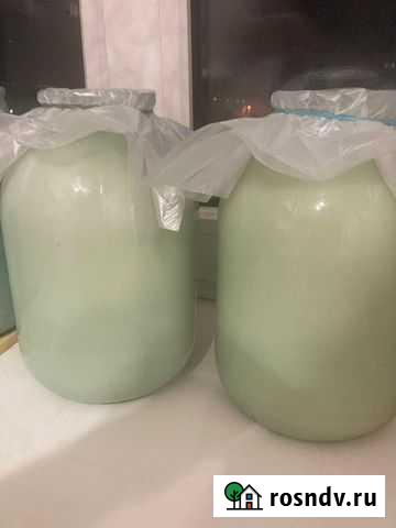 Внутренний жир поросенка Тула - изображение 1