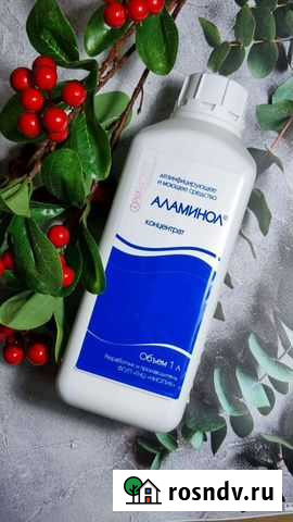 Аламинол Абакан - изображение 1