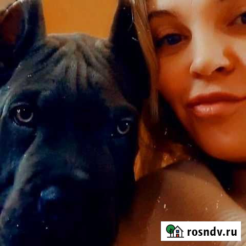 Кинолог, дрессировка собак Тюмень - изображение 1