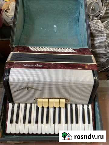 Аккордеон Ростов-на-Дону - изображение 1
