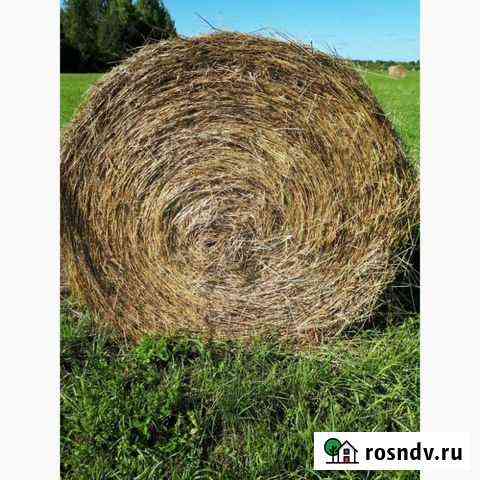 Продам сено Ленинск-Кузнецкий