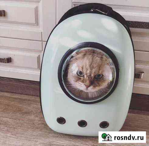 Переноска рюкзак сумка коту собаке корзинка Севастополь