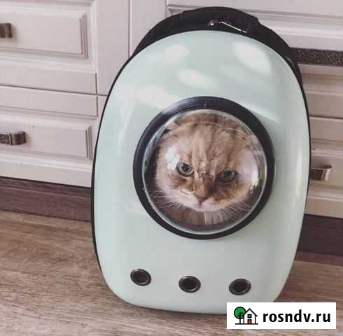 Переноска рюкзак сумка коту собаке корзинка Севастополь - изображение 1