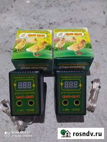 Терморегулятор для инкубатора Шали - изображение 1