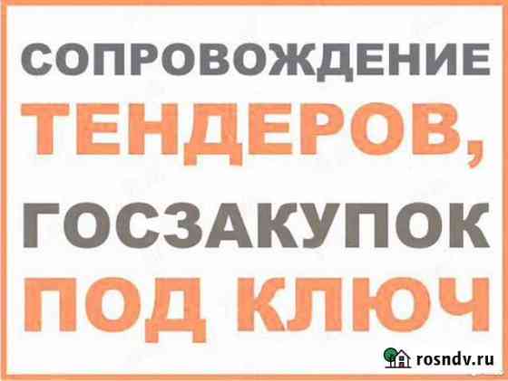 Тендерное сопровождение под ключ Октябрьский