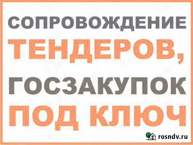 Тендерное сопровождение под ключ Октябрьский - изображение 1
