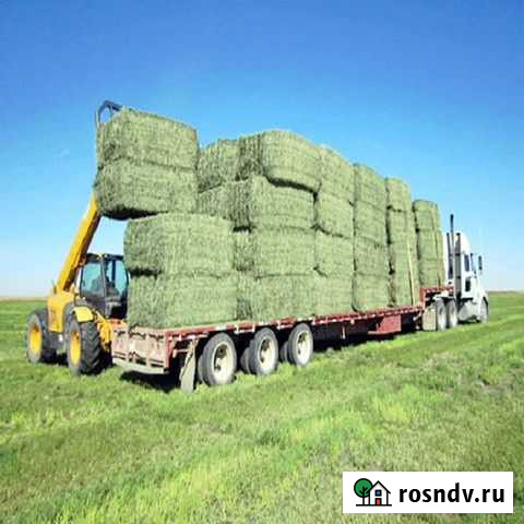 Сено Серпухов - изображение 1