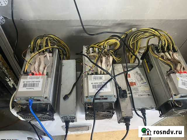 Asic l3 Тюмень - изображение 1