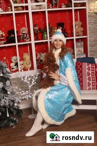 Дед Мороз фокусник со зверушками и Снегурочкой Люберцы - изображение 1