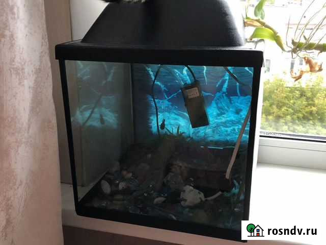 Аквариум 20л Нижний Новгород - изображение 1