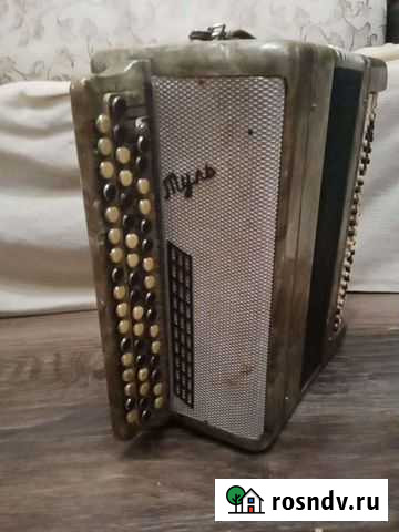 Баян Набережные Челны - изображение 1