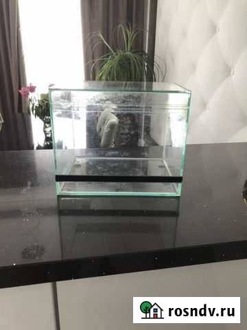 Аквариум Брянск - изображение 1