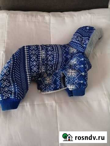 Одежда для собак Владимир - изображение 1