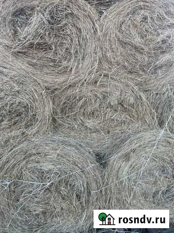 Сено Совхоз Селезнёвский - изображение 1