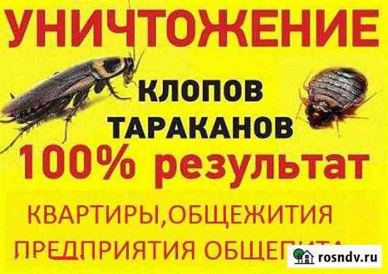 Уничтожение тараканов, клопов Брянск