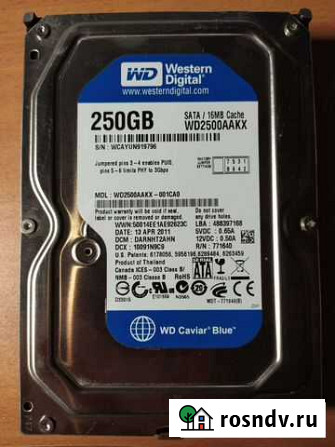 Жесткий диск WD 250 Гб 3.5 Каменск-Уральский - изображение 1