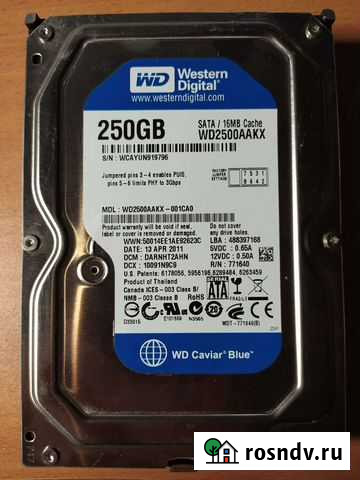 Жесткий диск WD 250 Гб 3.5 Каменск-Уральский - изображение 1
