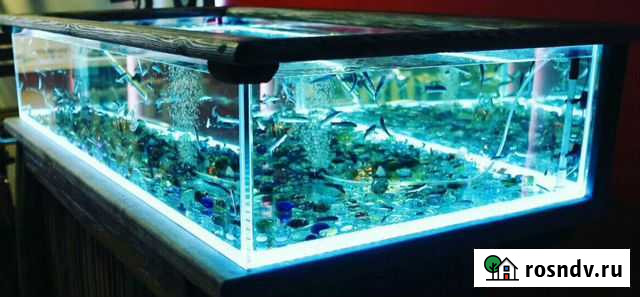 Аквариума Тула - изображение 1
