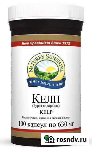 Kelp (бурая водоросль), NSP Красноярск - изображение 1