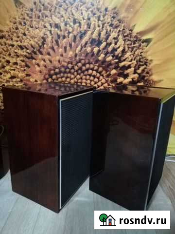 Акустика колонки СССР Киров - изображение 1