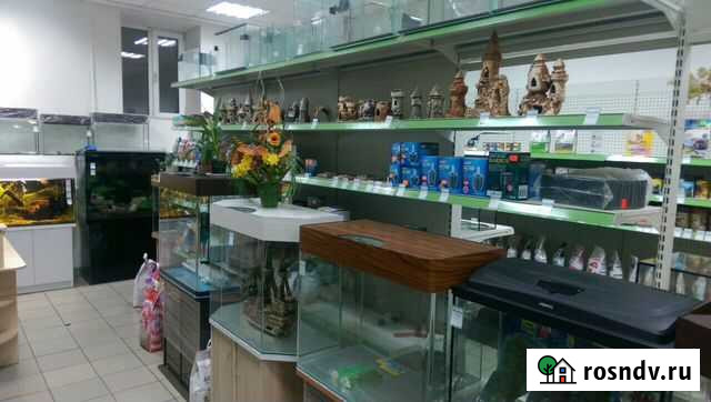 Аквариумы и террариумы в наличии и на заказ Саратов - изображение 1