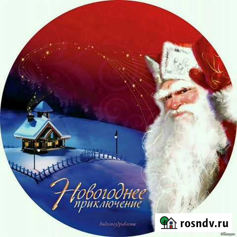 Диск для Елизаветы Благовещенск - изображение 1