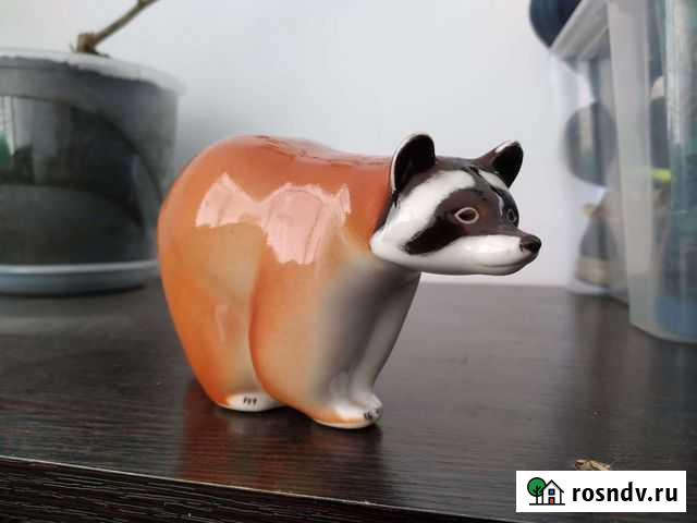 Енот лфз Черкесск - изображение 1