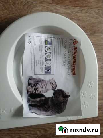 Лоток Рубцовск - изображение 1