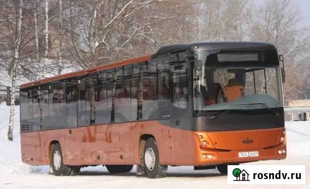 Туристический автобус МАЗ 231, 2021 Туапсе - изображение 1