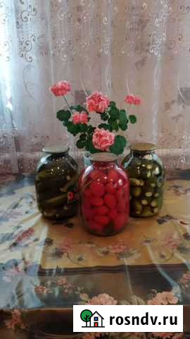 Маринованные огурцы и помидоры Октябрьский - изображение 1