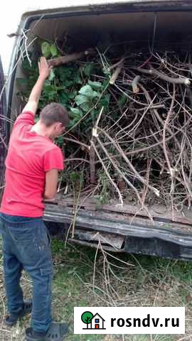 Зачистка участка от зарослей снос строений Луховицы - изображение 1
