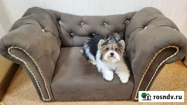 Лежанка для животных Яблоновский - изображение 1