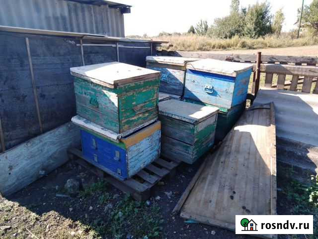 Улей Глубокий - изображение 1