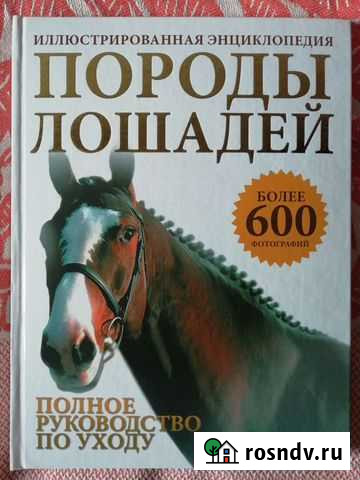 Породы лошадей. Джудит Дрейпер Сергиев Посад - изображение 1