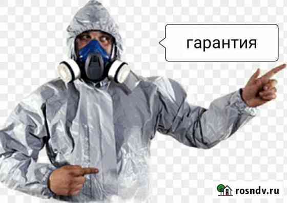 Уничтожение клопов с 1 раза Пермь