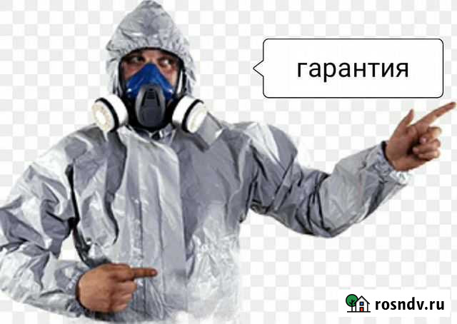 Уничтожение клопов с 1 раза Пермь - изображение 1