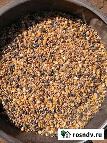 Корма для животных Моршанск - изображение 1