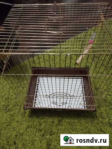 Клетка для птиц Йошкар-Ола - изображение 1
