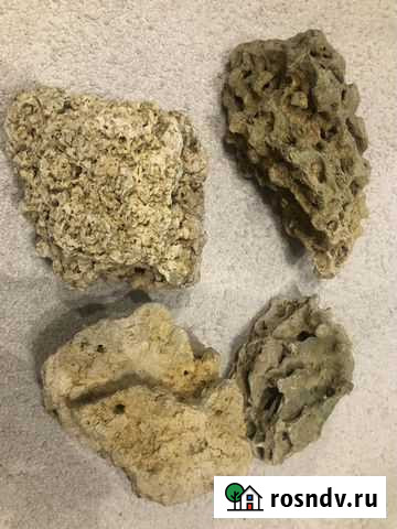 Камень песчанник для аквариума Барнаул - изображение 1